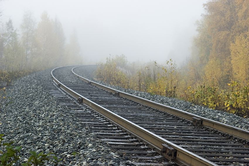 railroad tracks surrounded by trees