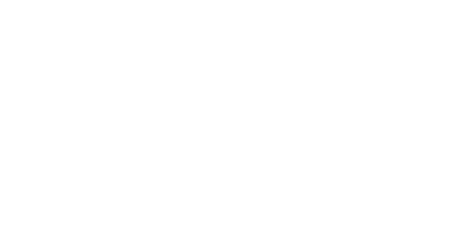 Bolt Law Firm